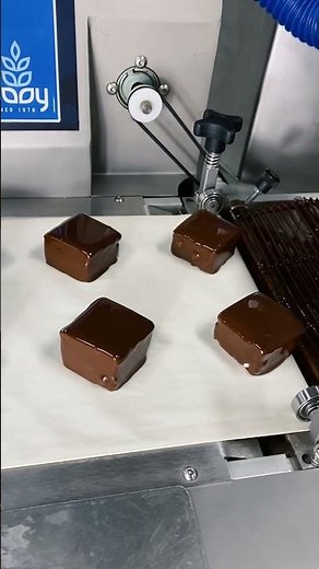 The Chocolate World Enrober for smooth, glossy, and easy chocolate coating | Vanrooy Machinery 🍫