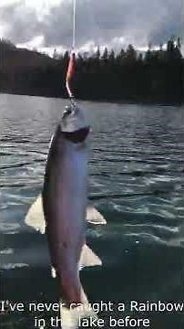 Rimrock Lake WA Fishing