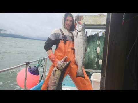 Episode 100! Epic Fishing in Alaska! Salmon Gillnetting with Chris on F/V Nancy!