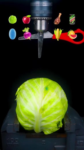 Scissors Cutting Through Cabbage Experiment