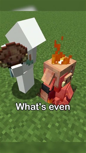 MORPH ITEMS #minecraft #sift #endupdate #minecraftbuilding