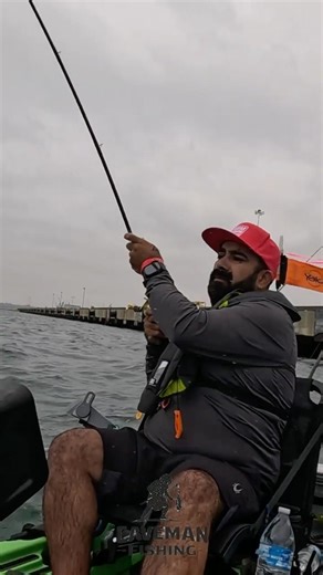 Fighting a spotted bay bass While Getting Pushed Into the Docks 😅🎣