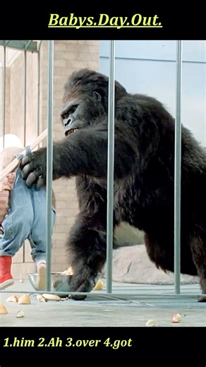 Baby’s Day Out (1994) | Bongo the Orangutan Goes Full Guardian – Kidnappers Get Launched 😂