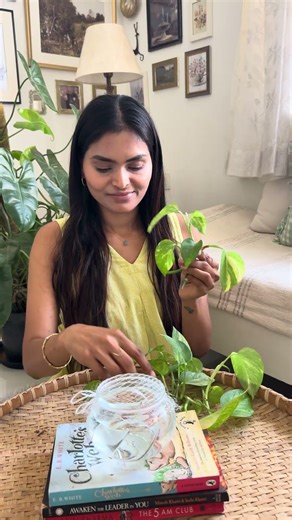 🌱Money plant ని Waterlo లో ela easyga propagate cheyandi | Easy Decor hack #diydecor