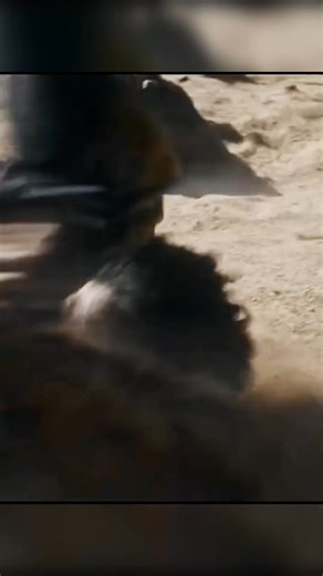 4.2K views · 12 reactions | A venomous spider. A neglected apartment. One fatal mistake. ️ Kaleb's fascination with exotic creatures leads him to bring home a deadly arachnid, setting off a chain of events that turns his building into a deadly web of terror.  Title: Infested (2023) #fypviralシ #HorrorThriller #Arachnophobia #SurvivalHorror #movieclips | Cristobal Cruzada Gil | Facebook