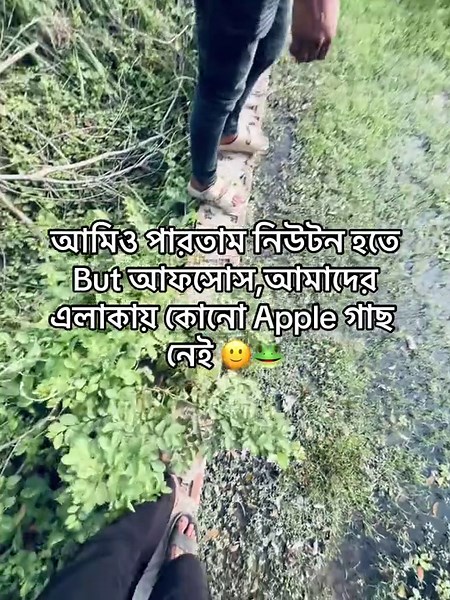 আফসোস ,আমাদের এলাকায় কোনো Apple গাছ নেই 🙂🐸 #foryoupageofficiall #fyppppppppppppppppppppppp #caption #rudrawav @TikTok Bangladesh
