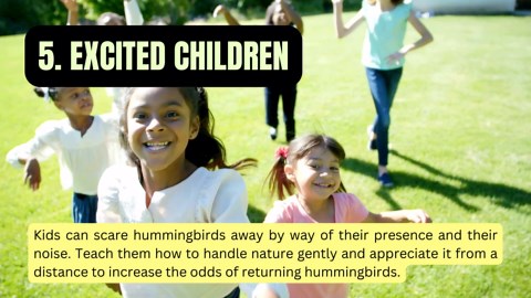 Learn What Could Be Scaring Hummingbirds From Your Yard