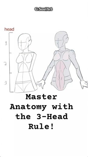Anime Body Proportions Tutorial for Beginners 🎨✨ | Drawing for Beginners #shorts #ClipStudioPaint