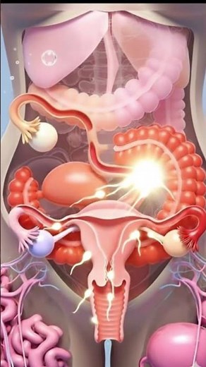 How Human Fertilization Happens | 3D Sperm Meets Egg Animation | AI Anatomy Explained