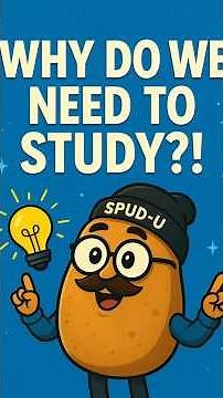 WHY SHOULD WE STUDY?! 🤯 Answers That Will Make You Excited About School Again!