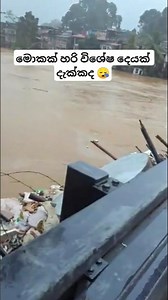 😒 හැමෝටම පෙනෙයි #travel #automobile #uae #bus #busrace #music #trending #driving #shortsfeed #shorts