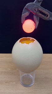 1000℃ Hot Metal Ball VS Giant Egg🥚（What will happen next?）#satisfying#foryou#experiment