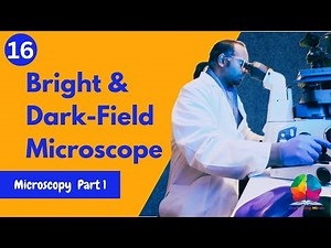 Bright Field and Dark Field Microscope | Light Microscope | Biophysical Techniques