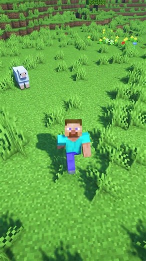 💾 Backups Prevent Loss!