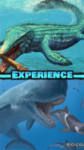 Mosasaurus vs Livyatan