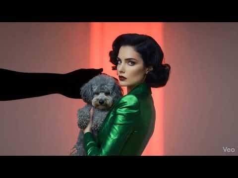 In Silence we grow Introducing PALEO Thesaurus @Rosalinda Baby@ Manuskript