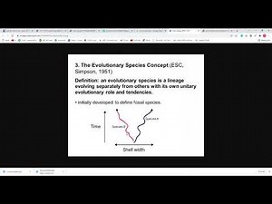 Principles of systematic LEC 1