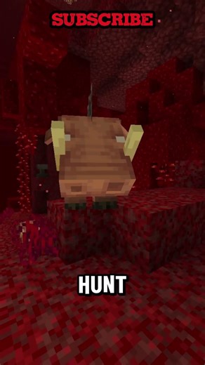 You Can Actually Eat THIS in the Nether…