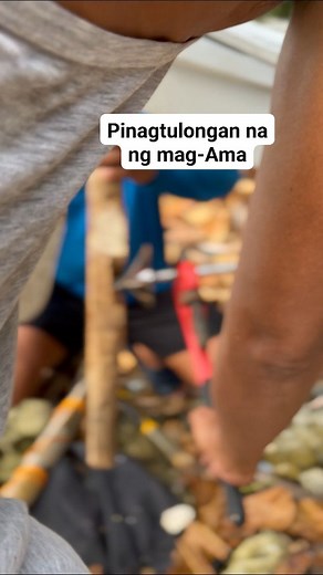 How to remove the propeller of Bancarera? @highlight | Bancarera Channel