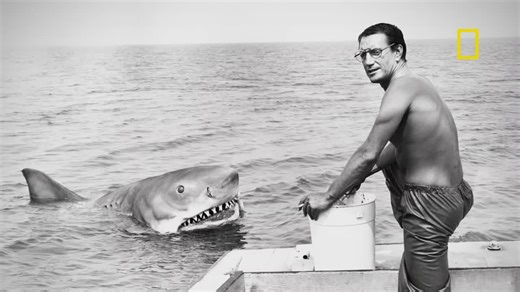 New 'Jaws' documentary celebrates 50 years of impact, influence