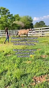 Per requested… she loves some @taylorswift #taylorswift | Chelsey Stallings