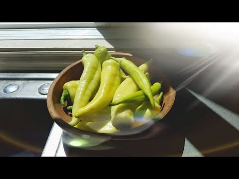 Subway's Style Banana Peppers WB canning in a regular pot