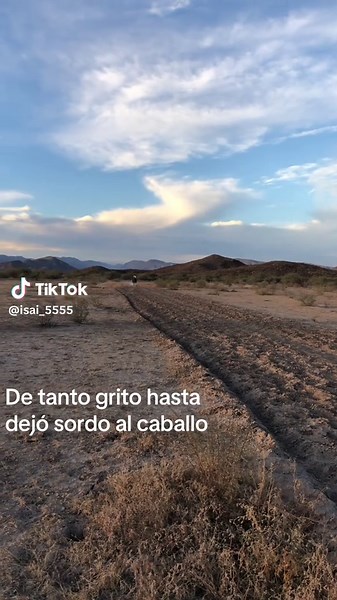 Carreras de Yeguas en Ocampo Tamaulipas