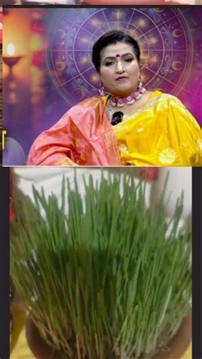 खेतरि बहुत अच्छी बिजी है मेरी! #viral #astrology #shortvideos