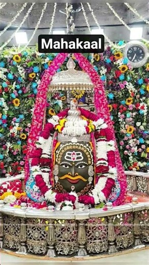 महाकाल सरकार🌷⚘️|| #mahadev #mahakaldarbar #hindugod