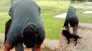 5.9K views · 500 reactions | Hou, TX South Side Street Dogs would like to thank you all for helping Simon in his journey to overcome his injury. ❤❤ Stay tuned for updates on this little man's progress! He should be walking in 2 weeks, his surgeon says, paws crossed... as soon as he is tip top, he will be looking for his forever family who will love him forever! <3 <3 | Pet Rescue Team SafeHouse, Formerly South Side Street Dogs | Facebook