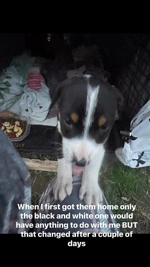 First pics 😞 So scared 😭💔 | Emily F Thompson