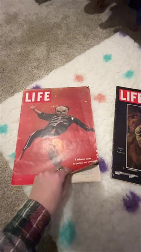 hal (@hal.on.earth)’s videos with original sound - hal