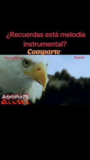 The Shadows: Pioneers of Beat Groups and Instrumental Rock