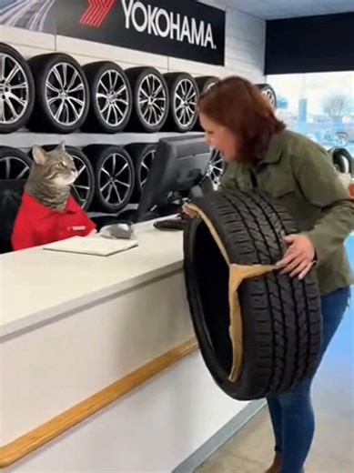 Cat vs Angry Customer: a customer at Yokohama Tires dealer was mad after the tread turned into cardboard and the tread came off the tire! Remember to follow me for new content every Monday, Wednesday, and Friday