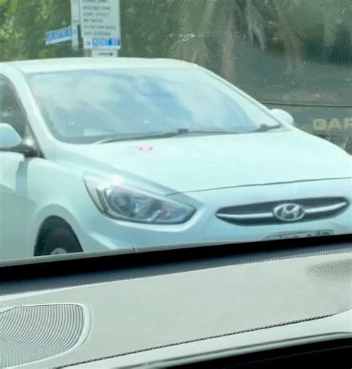 “Waiting for a bus” Brett Leigh Kent and Carlingford rds. Where a new set of lights is coming soon. | Epping NSW