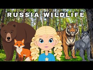 🐻🦊 Meet the Russian Animals | Siberian Tiger | Wild Animals | Red Fox Animated Stories for Kids