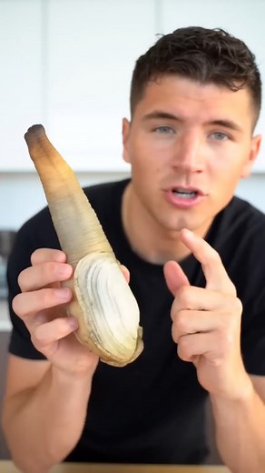 Geoduck Clam #clam #cookbook #tasty #masterchef #geoduck #seafoodrecipes #seafood #reelsfb | Nick DiGiovanni