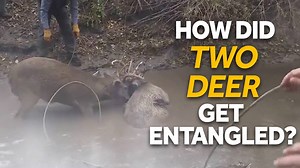 417K views · 29 reactions | They would've died had they not been rescued. | WPBF 25 News | Facebook