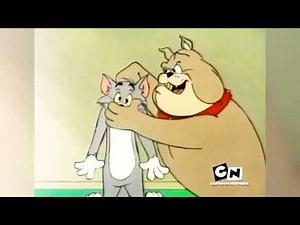 The Kittens Critters | Cute Cats, Big Trouble! 😹 Full HD Animation