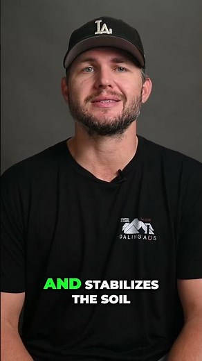 Sinking Concrete? Foam Injection vs. Mudjacking: The Truth! #shorts