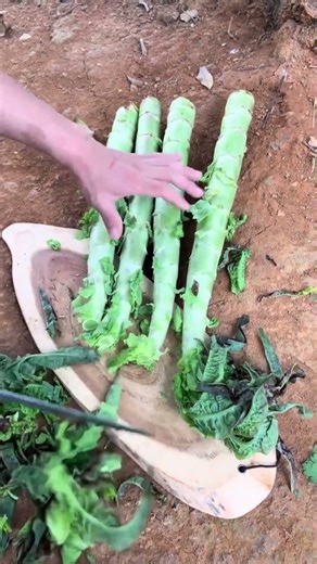 SK3057mini rotary tillage and ridging one one tree short view #travel #beach #flowers# asmr