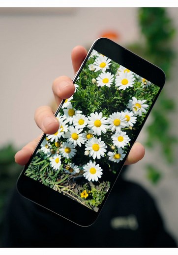 iPhoneで花の名前を簡単に特定する方法