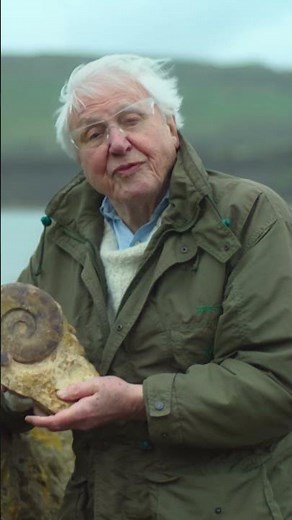 Find someone that looks at you like Sir David looks at fossils! #naturepbs #davidattenborough