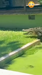 3.7M views · 1.3K reactions | CESA 2018 2020 (2) | Daily US Buzz | Facebook