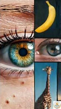 Facts Part 4 🤯 | 7 Incredible Science Facts