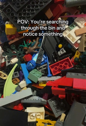 Discovering Hidden Treasures: Rare LEGO Finds