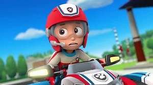 Watch Paw Patrol Season 2 Episode 6 - Pups Save a Monkey/Pups Save a Hoot