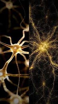 Why Does the Universe Look Like a Brain? | The Cosmic Web