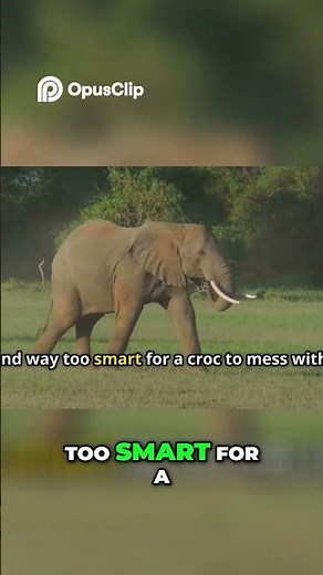 Crocodile vs Elephant Epic Showdown in the Wild!