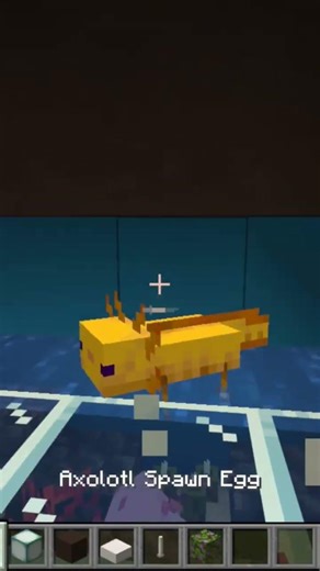 Minecraft Axolotl Aquarium #minecraft